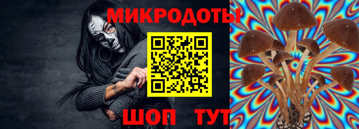 Галлюциногенные грибы мухоморы  Псилоцибиновые грибы мицелий  Лесной  Вход с VPN 