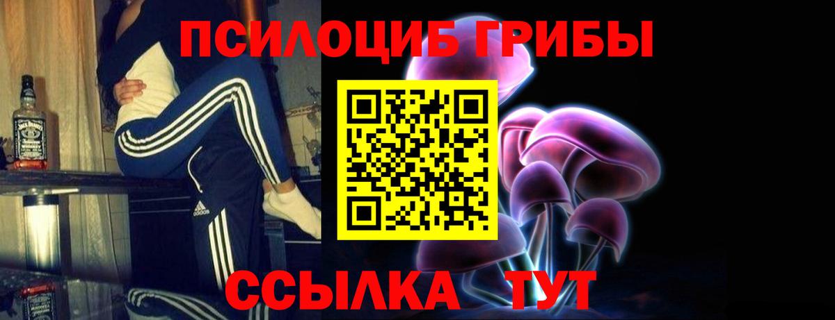 Псилоцибиновые грибы Psilocybine cubensis Лесной