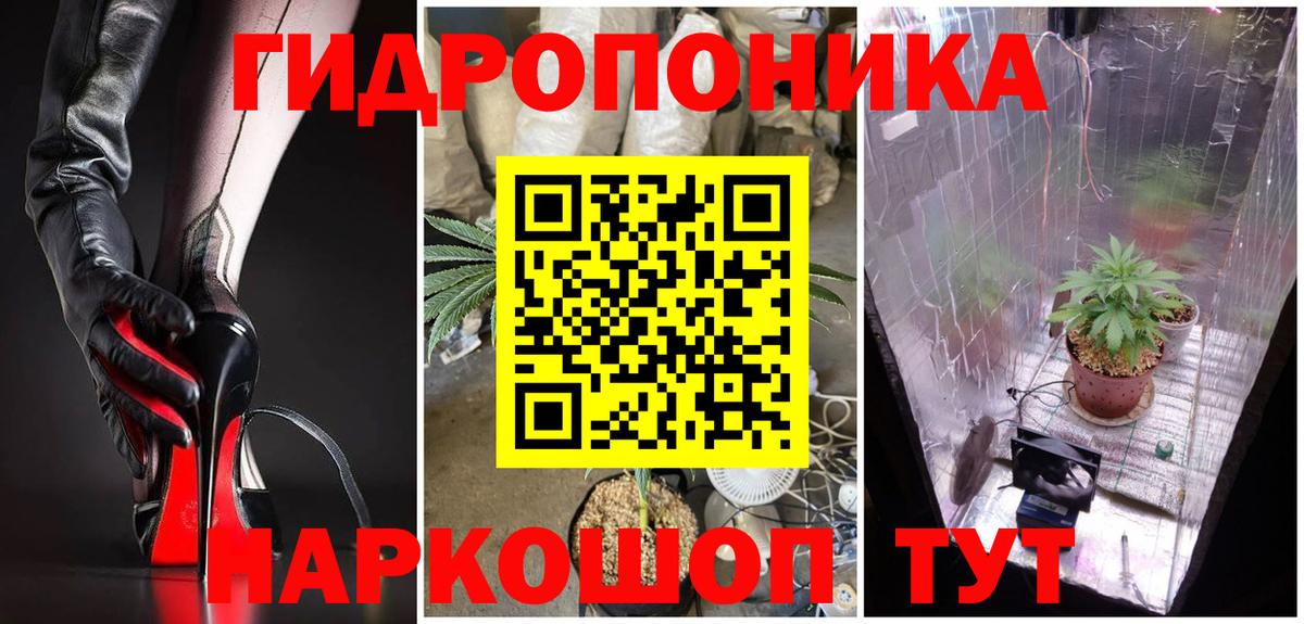 МАРИХУАНА OG Kush  Бошки марихуана семена  Лесной  Вход с VPN  Бошки Шишки сатива  Марихуана Bruce Banner 